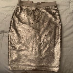 Reversible Sequin Knee Length Skirt
